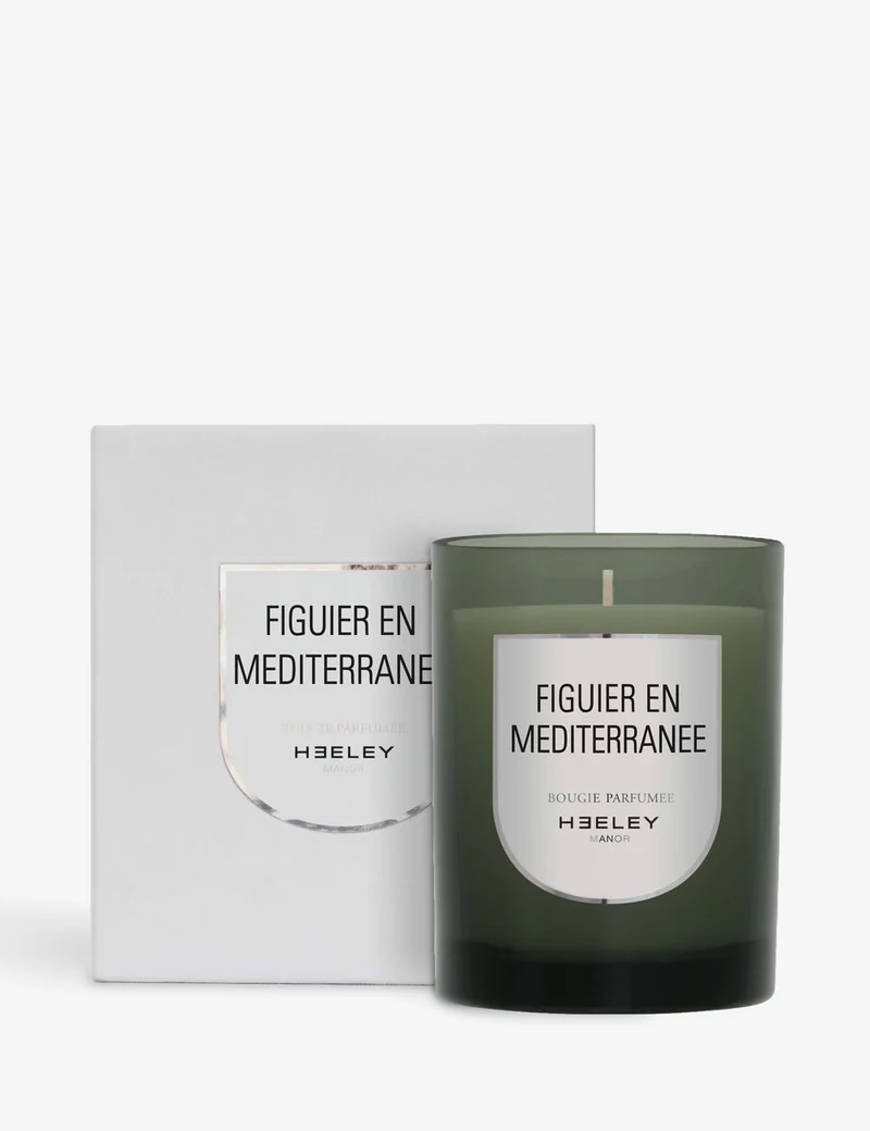 figuier en mediterranee