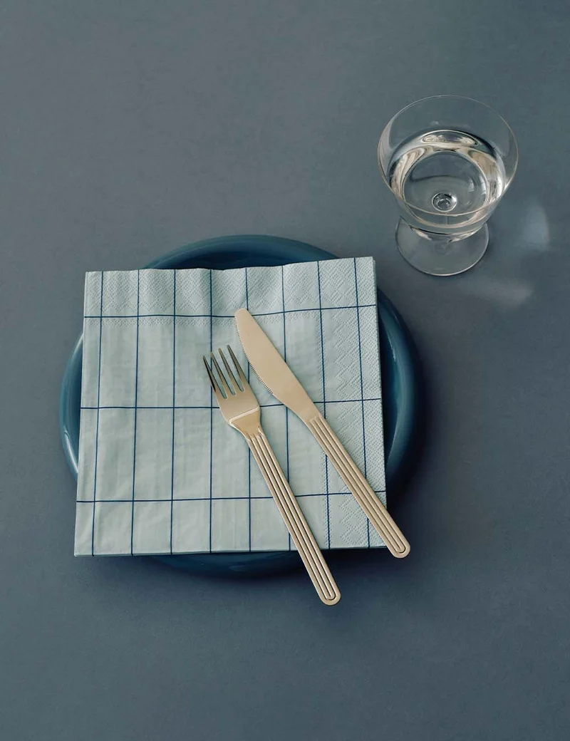 Servilletas pattern dinner