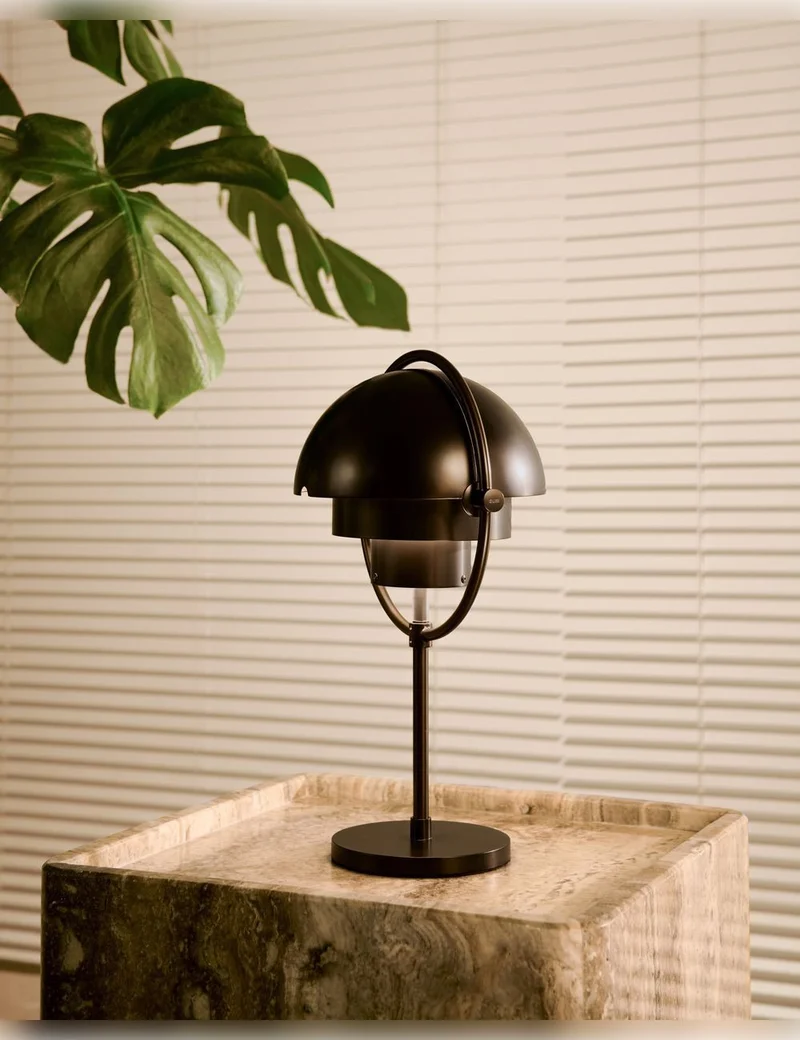 multi-lite portable lamp