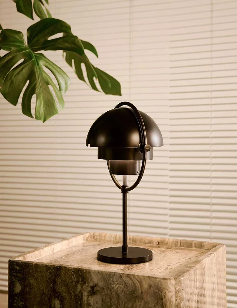 multi-lite portable lamp