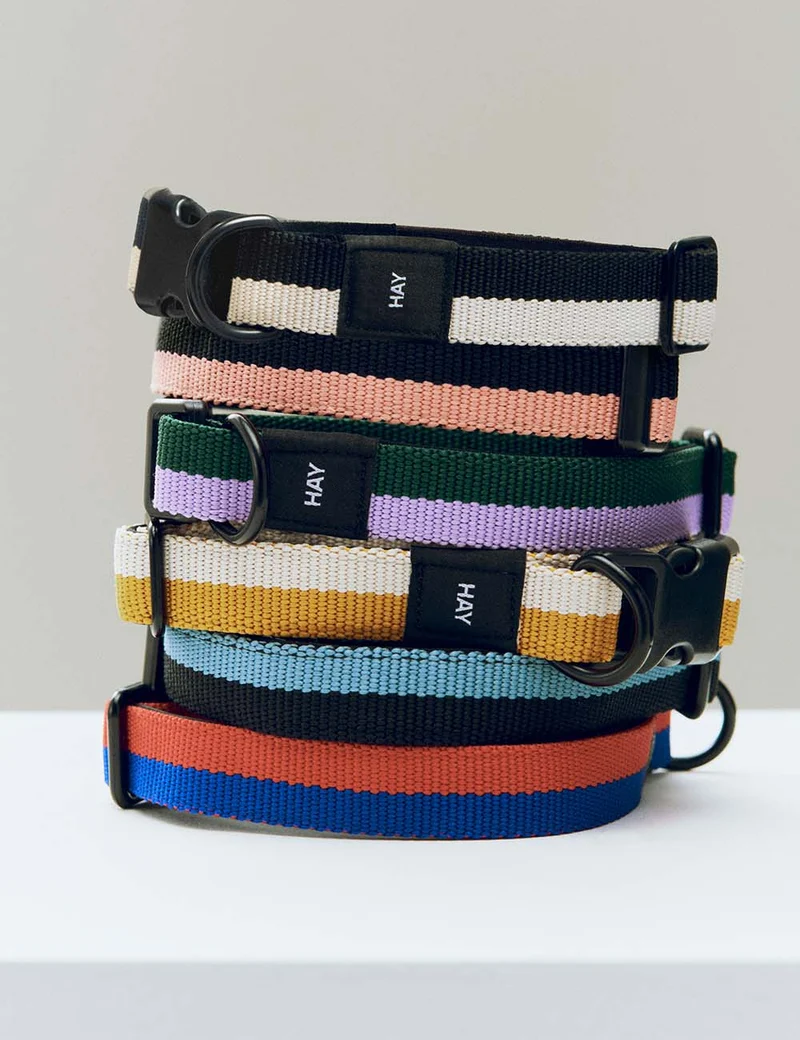 Collar perro HAY Dogs L