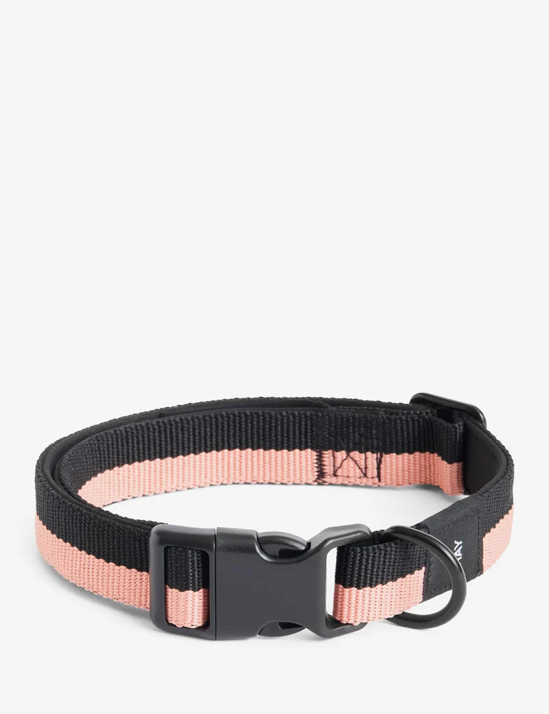 Collar perro HAY Dogs L