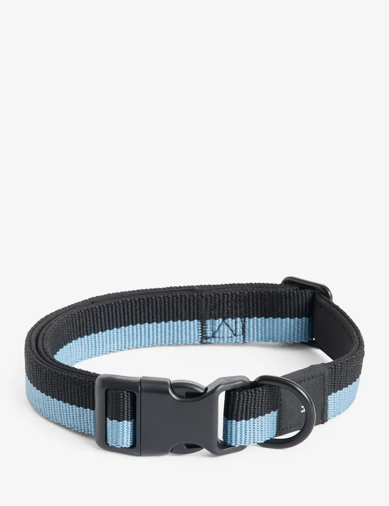 Collar perro HAY Dogs L