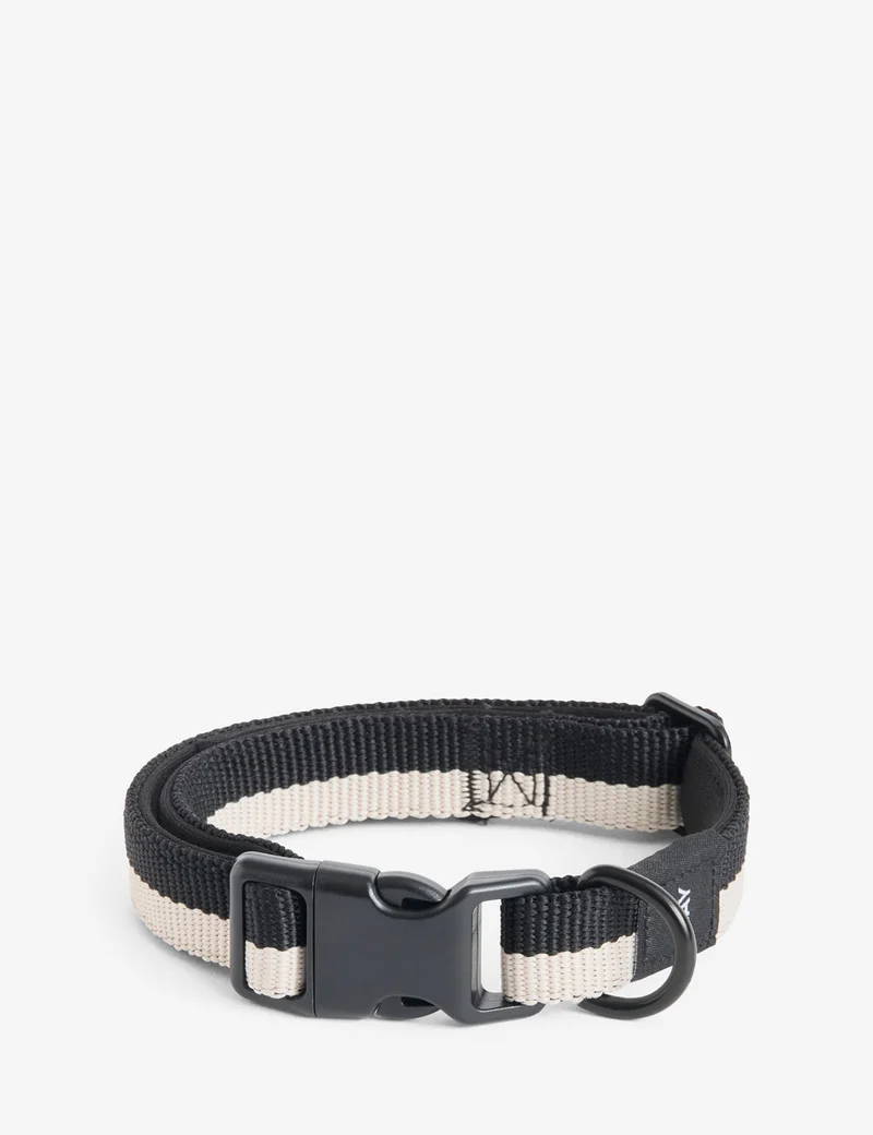 Collar perro HAY Dogs S