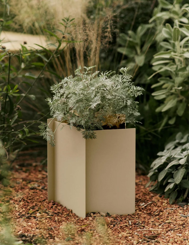 fragma planter