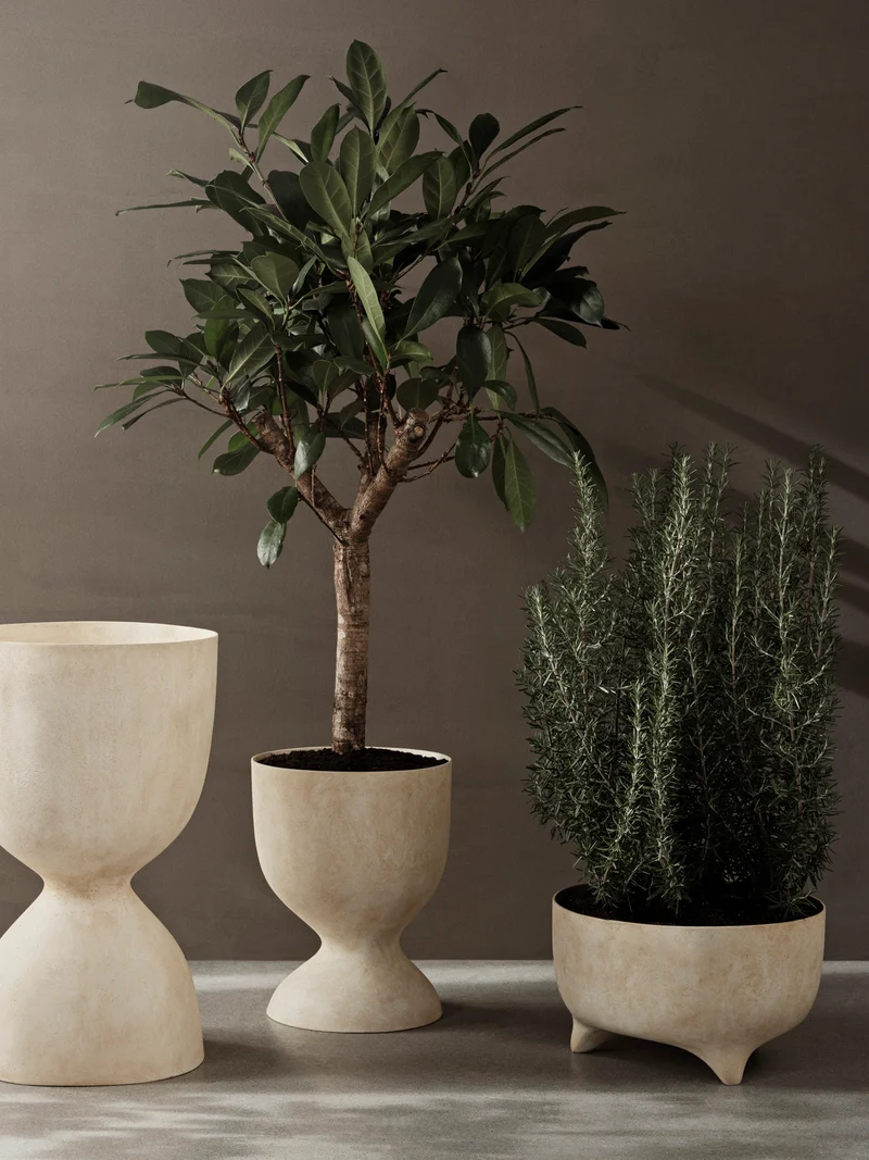 evoke pot tall