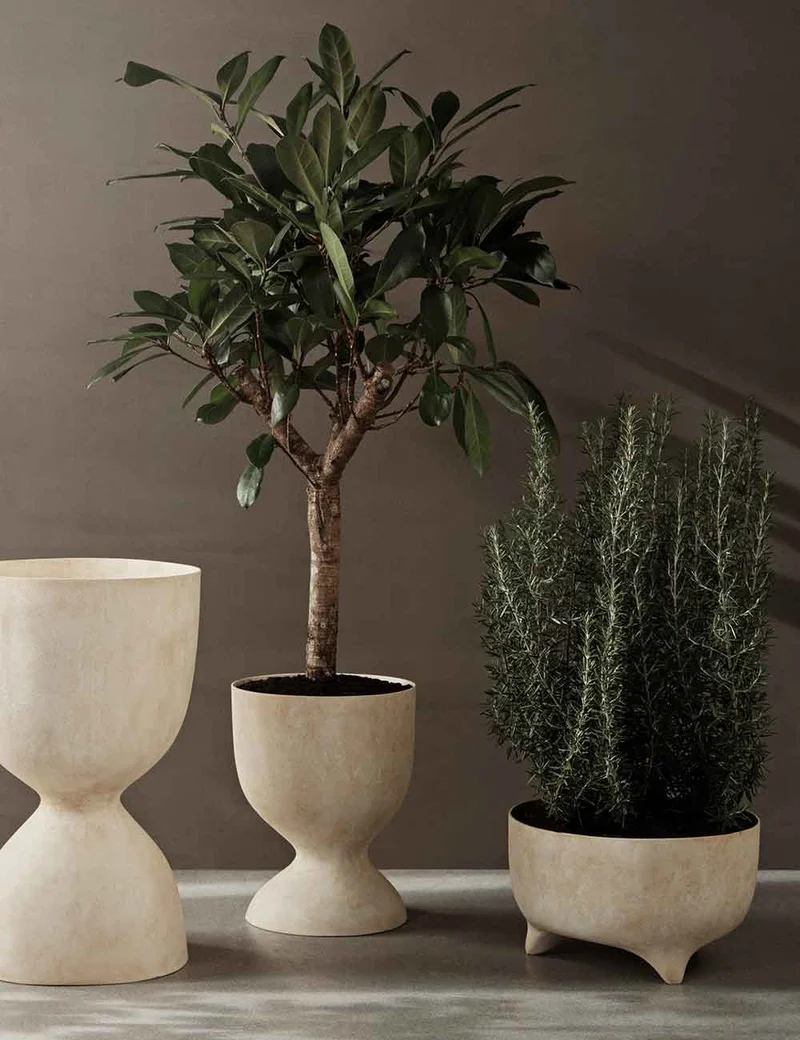 evoke pot low
