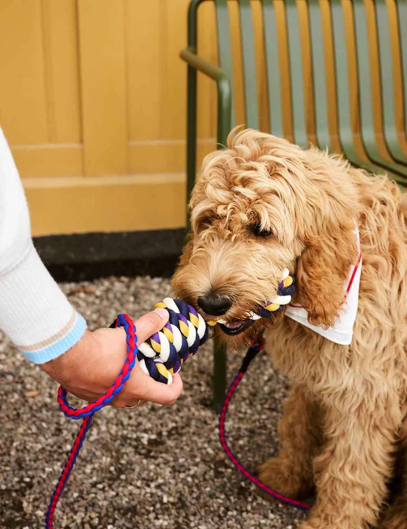Rope toy HAY Dogs