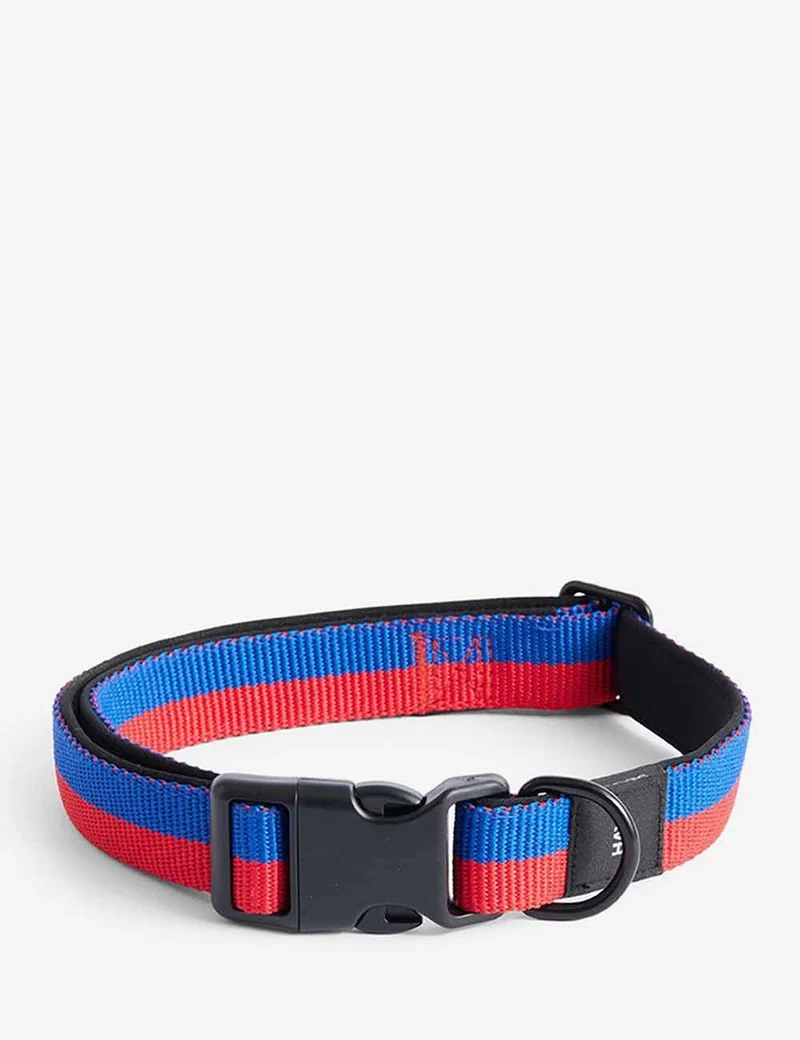 Collar perro HAY Dogs L