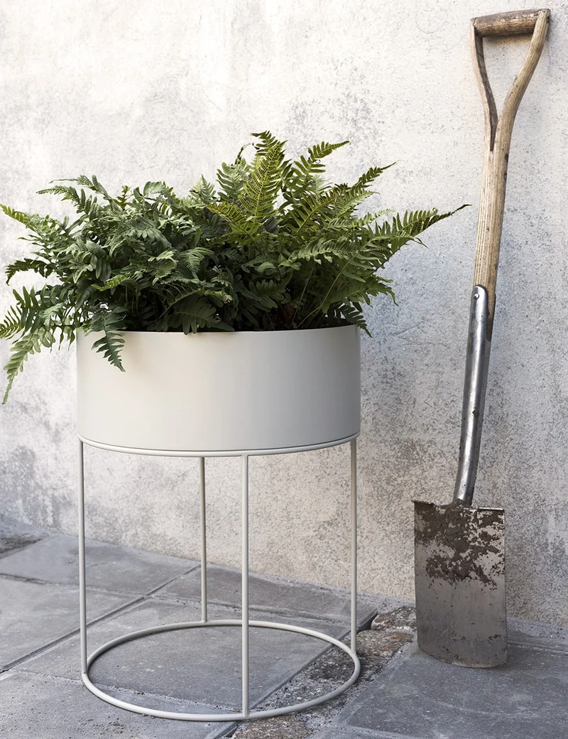 plant box round