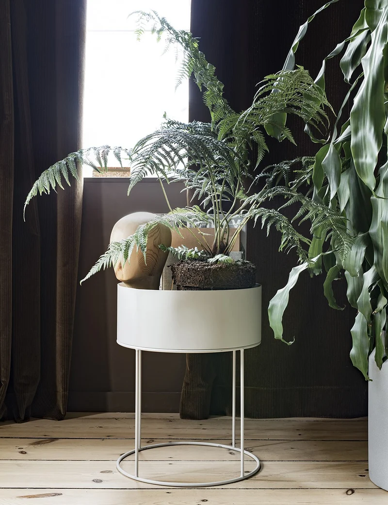 plant box round