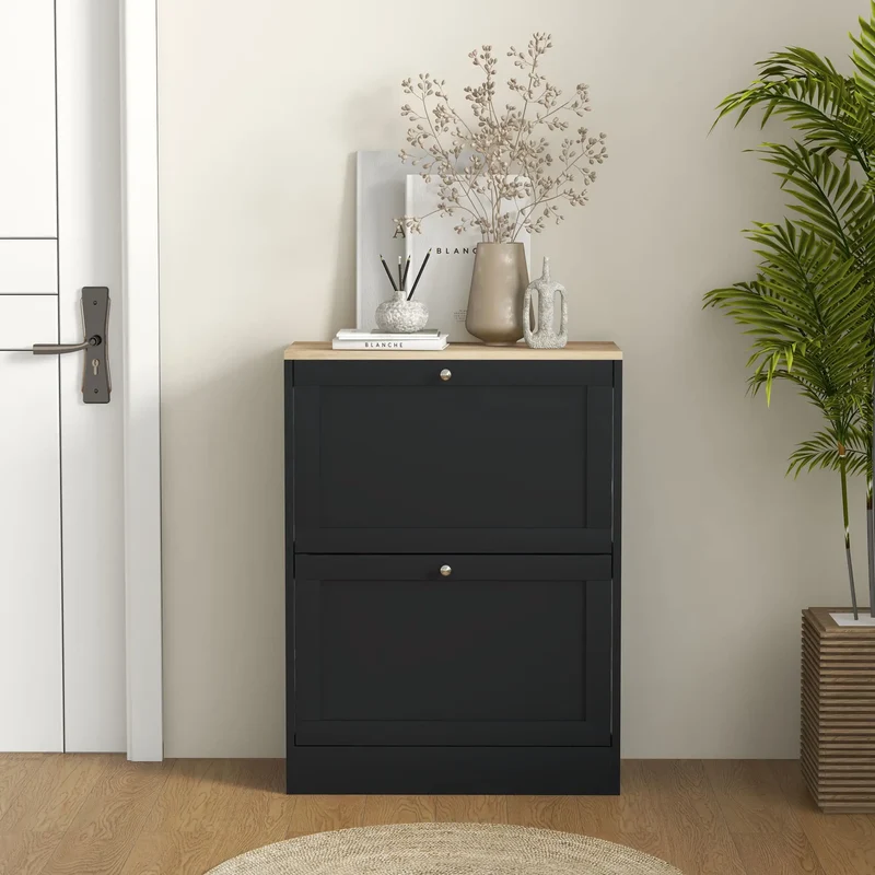 Slim Shoe Storage Cabinet, 2 Flip Drawers, Adjustable Shelves for 12 Pairs, Black