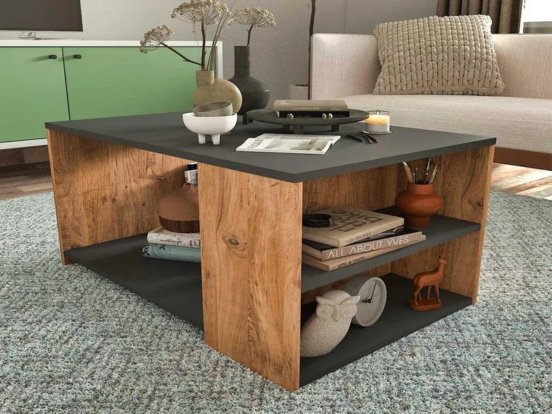 Table Basse avec rangement KAYA