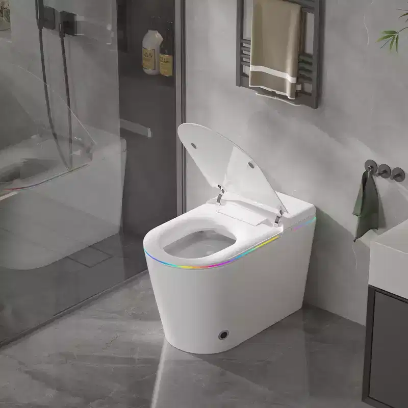 Toilettes intelligentes Dyonery, monobloc sans réservoir avec bouclier en mousse, couvercle à ouverture/fermeture automatique, bidet et séchoir chauffants, veilleuse LED, chasse d'eau automatique