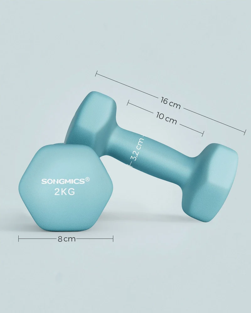 Lot de 2 haltères hexagonaux pour entraînement fitness 16 x 8 cm en fer bleu clair 12_0010853