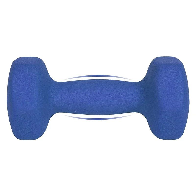 Lot de 2 haltères antiglisse pour musculation entraînement maison 18 x 8,5 x 8 cm en fonte bleu 12_0009085