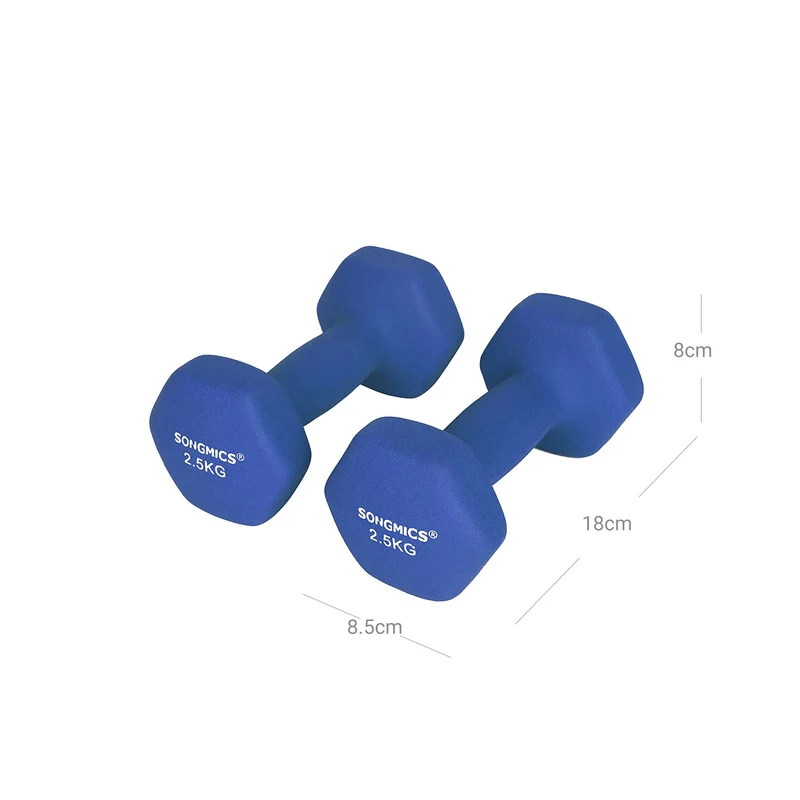 Lot de 2 haltères antiglisse pour musculation entraînement maison 18 x 8,5 x 8 cm en fonte bleu 12_0009085