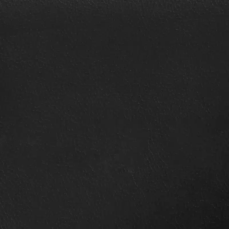 Ensemble de canapés noir
