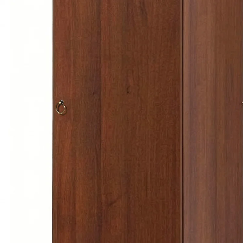 Armadio con 1 anta e ripiano colore noce antico 45x60x180H cm