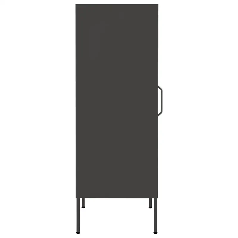Armoire de rangement anthracite 42,5 x 35 x 101,5 cm avec 2 étagères réglables durable style moderne en acier anthracite 02_0046881