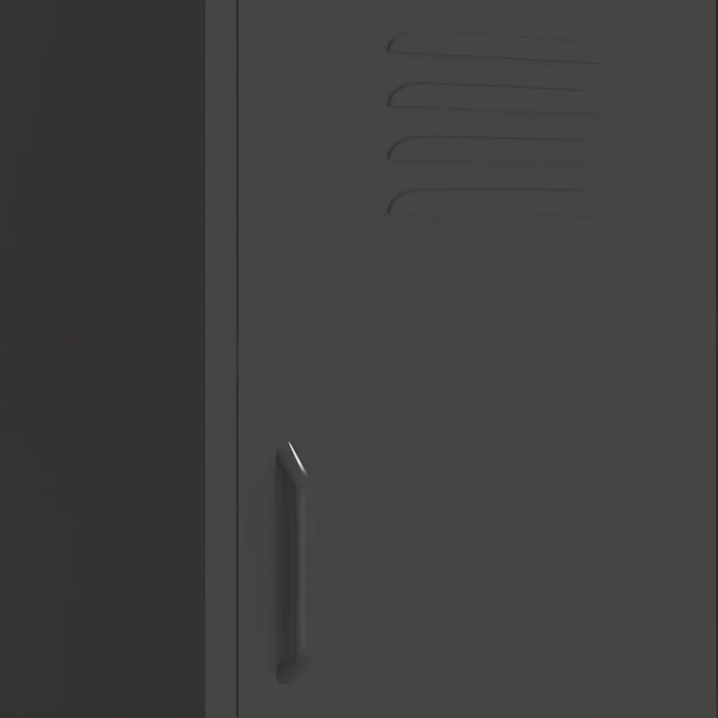 Armoire de rangement anthracite 42,5 x 35 x 101,5 cm avec 2 étagères réglables durable style moderne en acier anthracite 02_0046881