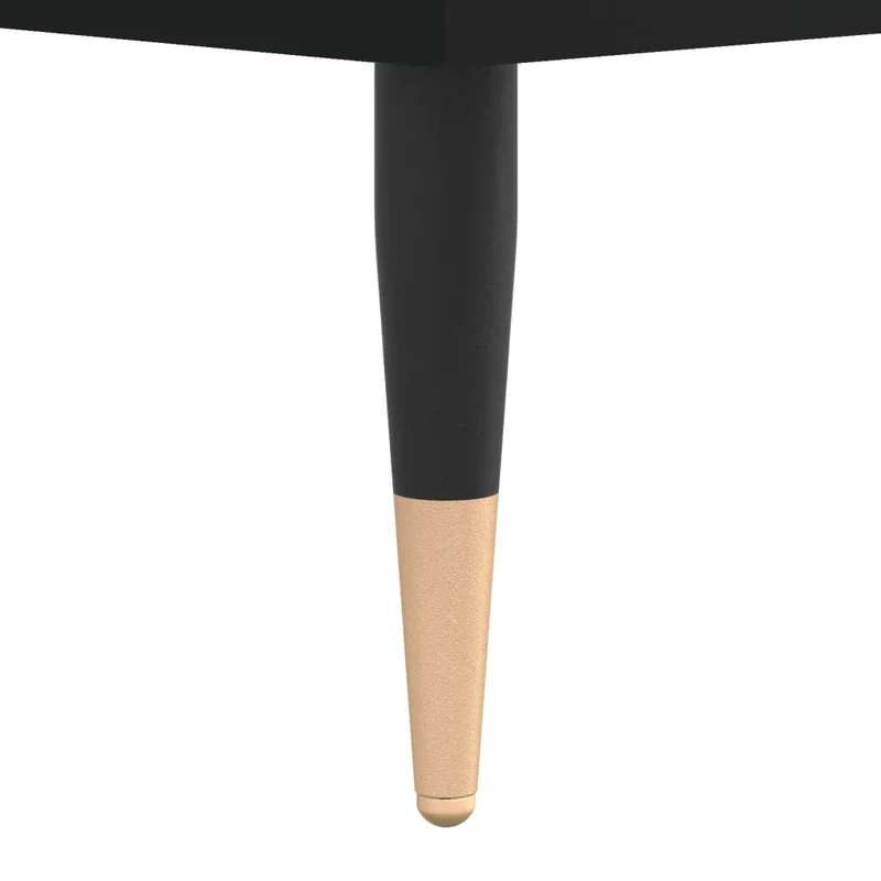 Armoire à chaussures design moderne rangement pratique 60 x 35 x 105 cm en bois noir 02_0048718