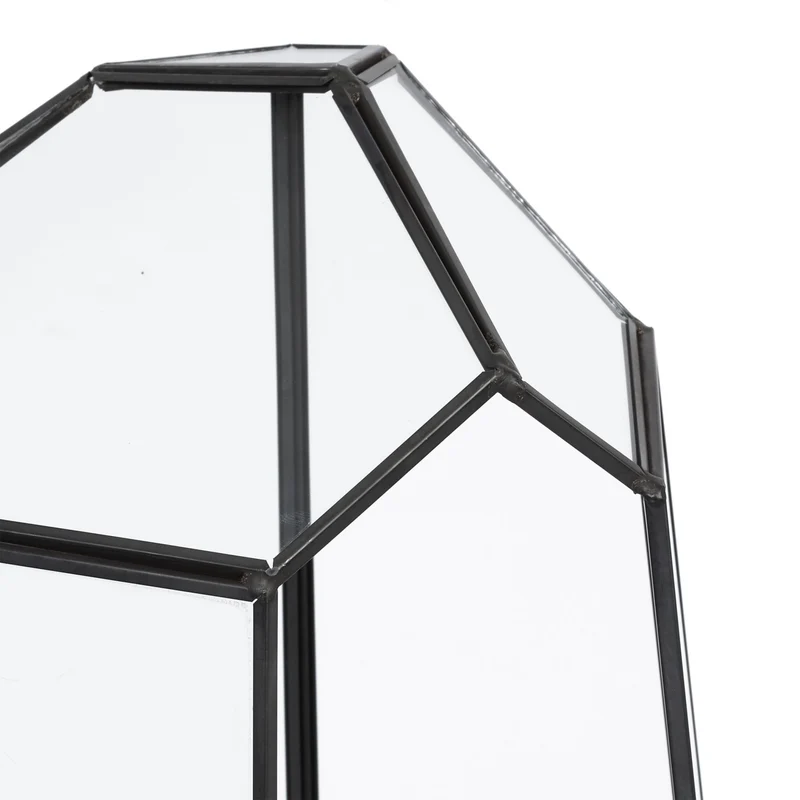 Terrarium de forme originale pour plantes succulentes 25 x 17 x 15 cm en verre transparent 13_0017390