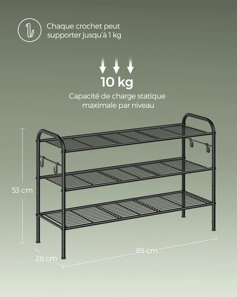 Étagère à chaussures organiseur de chaussures à ２ niveaux en métal avec 4 crochets latéraux 28 x 85 x 53 cm pour 10 paires réglable en hauteur pour entrée couloir placard montage facile noir 12_0005509