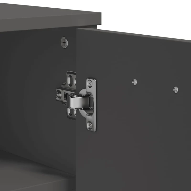 Armoire à chaussures range chaussures rangement meuble entrée couloir salon anthracite bois d'ingénierie anthracite 02_0022120