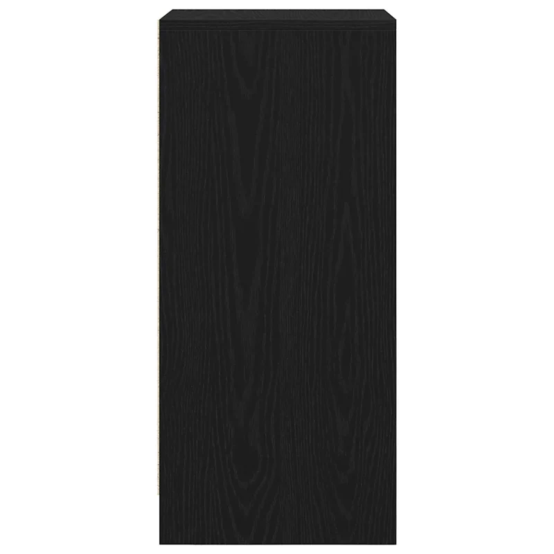 Armoire à chaussures elegante avec 1 porte et 4 étagères 29,5 x 34 x 76 cm en bois d'ingénierie noir 02_0051761